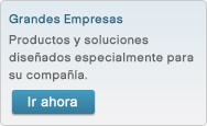 Grandes Empresas