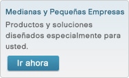Medianas y Peque&ntilde;as Empresas