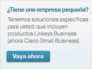 Got Small Business? Go to Cisco Small Business Products