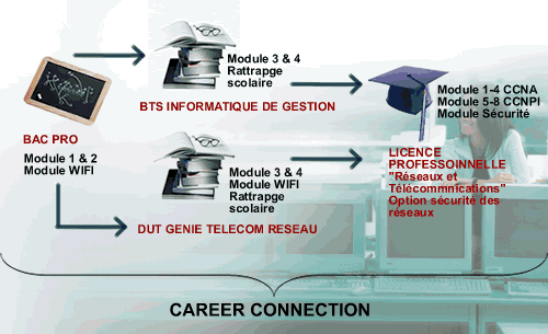 career connection