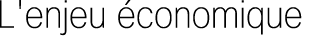 L'enjeu &eacute;conomique