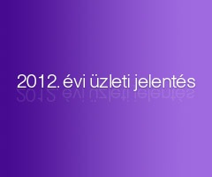 2012. évi üzleti jelentés