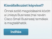 Got Small Business? Go to Cisco Small Business Products