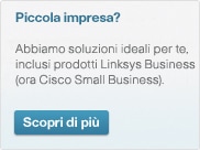 Got Small Business? Go to Cisco Small Business Products