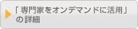 �u���Ƃ��I���f�}���h�Ɋ��p�v�̏ڍ�