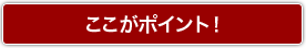 �������|�C���g�I