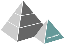 Cisco Data Center Networking Sales Specialist