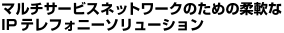 �}���`�T�[�r�X�l�b�g���[�N�̂��߂̏_���IP�e���t�H�j�[�\�����[�V����