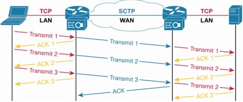 �} 2 Network Capacity Expansion System �� PEP �A�[�L�e�N�`��