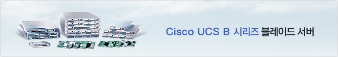 Cisco UCS B �ø��� �����̵� ����