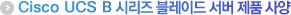Cisco UCS B ½Ã¸®Áî ºí·¹ÀÌµå ¼¹ö Á¦Ç° »ç¾ç
