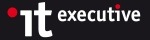 IT Executive