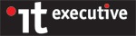 IT Executive