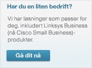 Got Small Business? Go to Cisco Small Business Products