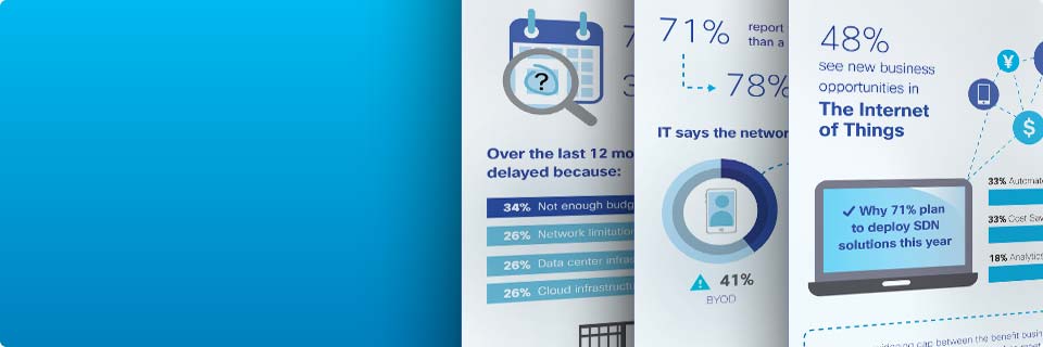 2013 Cisco Global IT Impact Survey