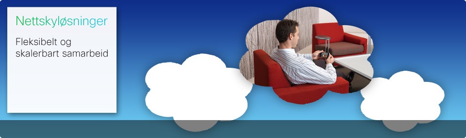 Nettskyl�sninger