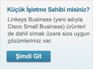 Got Small Business? Go to Cisco Small Business Products
