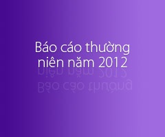 Báo cáo thường niên năm 2012