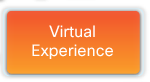 Virtual Experience