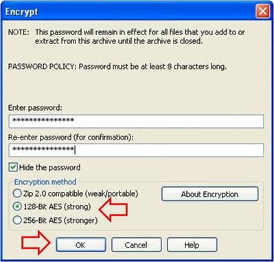 Fig 7 Encrypt the File