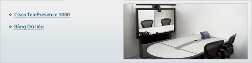 Cisco TelePresence System 1000