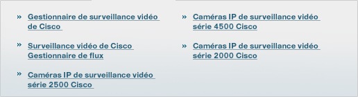 2.	Videovigil�ncia