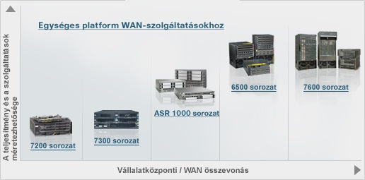 WAN-routerek