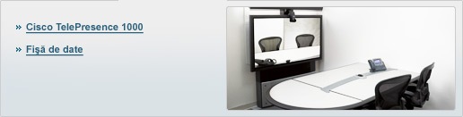 Cisco TelePresence System 1000