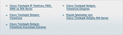 
IP Telefon