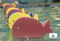 La Petite Baleen