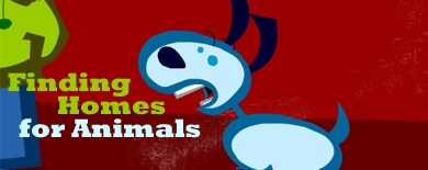 Finding Homes for Your Animals