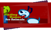 Finding Homes for Animals