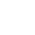 Big Data/Analytics