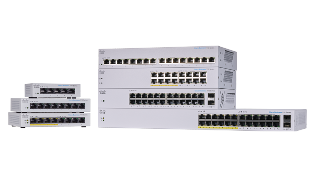 Unmanaged Switches