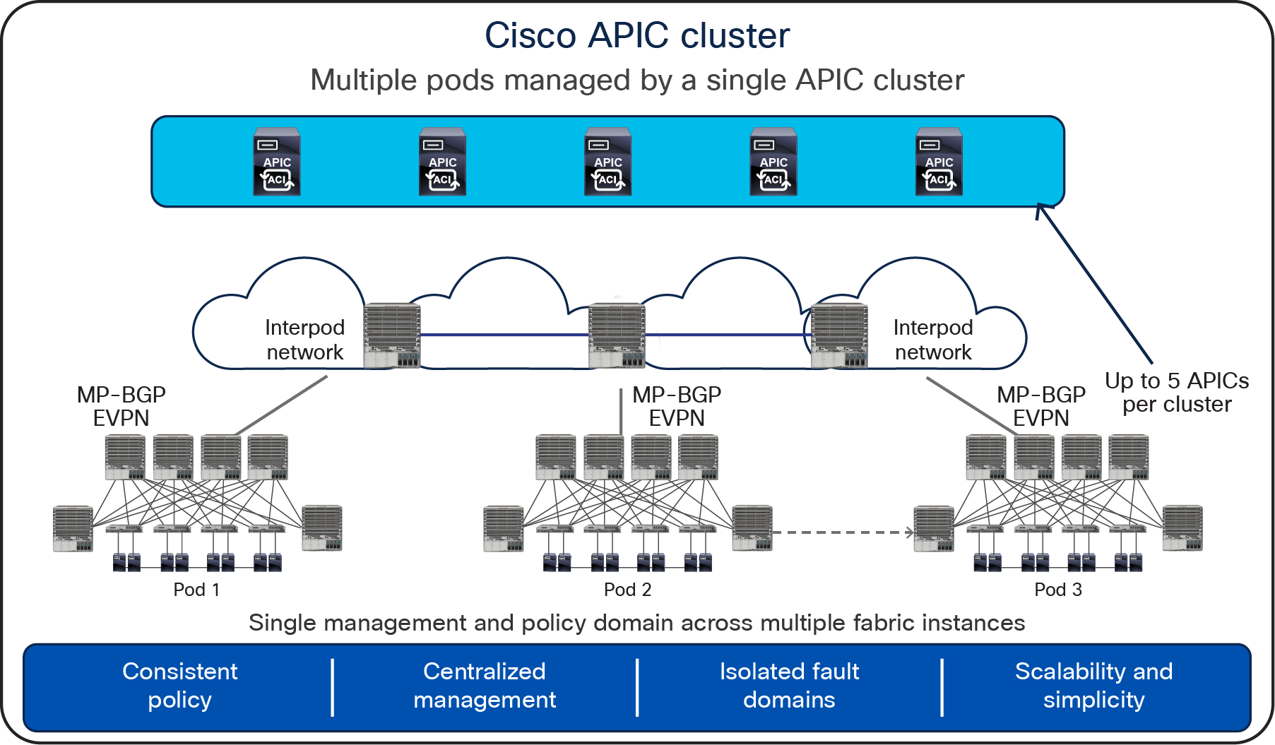 Cisco APIC cluster
