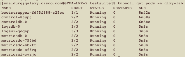 > kubectl get pods -n glxy-lab