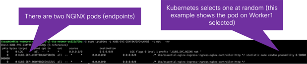 IPTables rules showing two NGINX pods