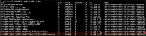 Output from kubectl get pods -o wide -n iks command showing the selected NGINX pod is running on worker 1