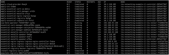 Output from the kubectl get pods -n iks command