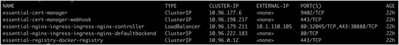 Output from the kubectl get services -n iks command