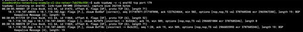 Output from tcpdump showing the BGP keepalive messages between the control plane and worker nodess