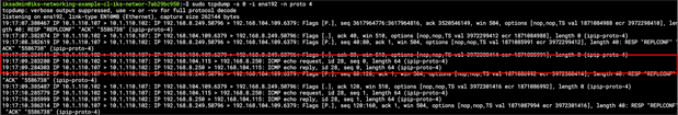 Confirmation of IP-IP encapsulation for packets sent directly from pods running on different hosts.