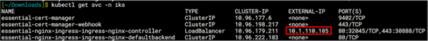 Output from the kubectl get svc -n iks command