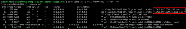 Logging from the client browser to NGINX Ingress – Prerouting chain