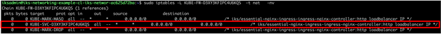 Output from IPTables showing the rule for NGINX