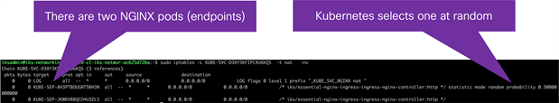 Output from IPTables showing the NGINX pods