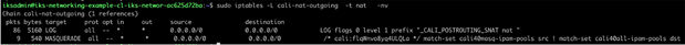 IPTables rules showing the postrouting chain