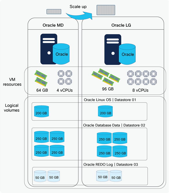 Oracle scale-up architecture