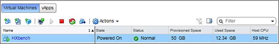 vCenter view of a VM with capacity information