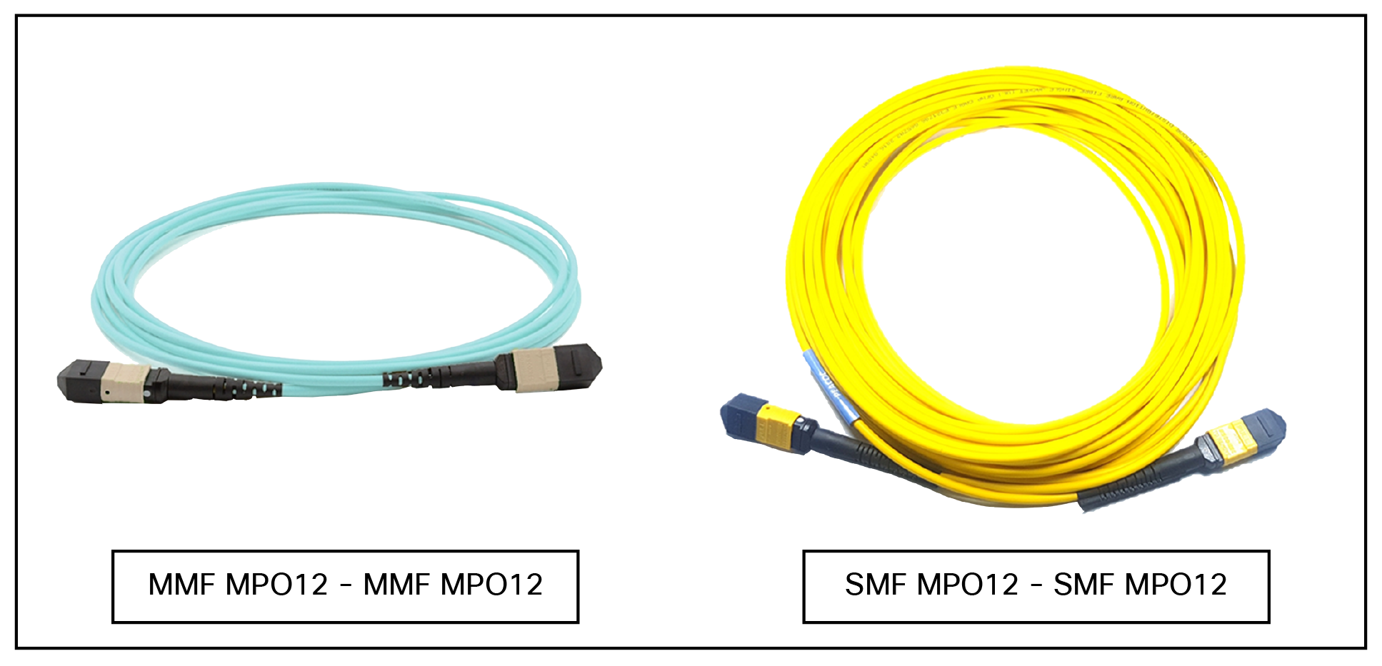 Cable fibra óptica SC/APC a SC/APC 3m para router OS2 9/125 simplex PVC  2.0mm -  México